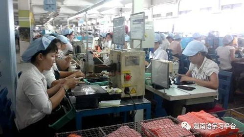 越南鞋業(yè)寒冬 老牌企業(yè)裁員近3000人，折射社會經(jīng)濟(jì)深層挑戰(zhàn)